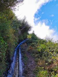 Levada da Bica da Cana