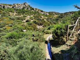 Levada da Bica da Cana