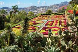 Jardim Botânico da Madeira