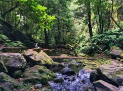 źróło Levada do Rei