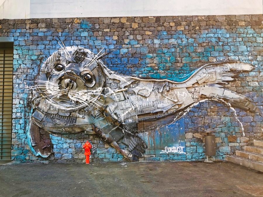 Mural Lobo Marinho